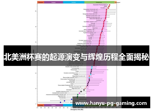 北美洲杯赛的起源演变与辉煌历程全面揭秘