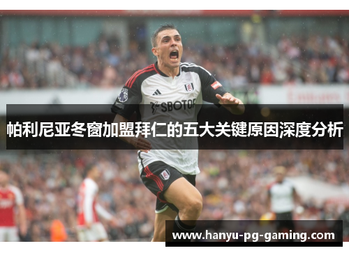 帕利尼亚冬窗加盟拜仁的五大关键原因深度分析