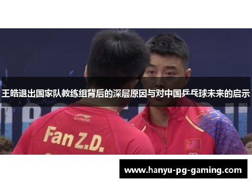 王皓退出国家队教练组背后的深层原因与对中国乒乓球未来的启示